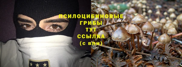 альфа пвп Белокуриха