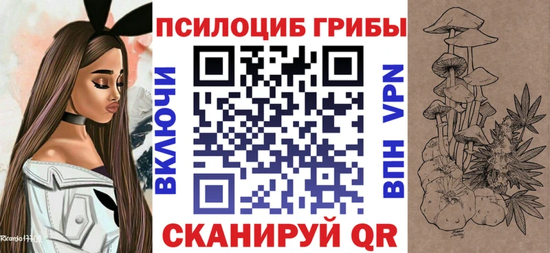 купить наркоту  Дагестанские Огни  Псилоцибиновые грибы прущие грибы 