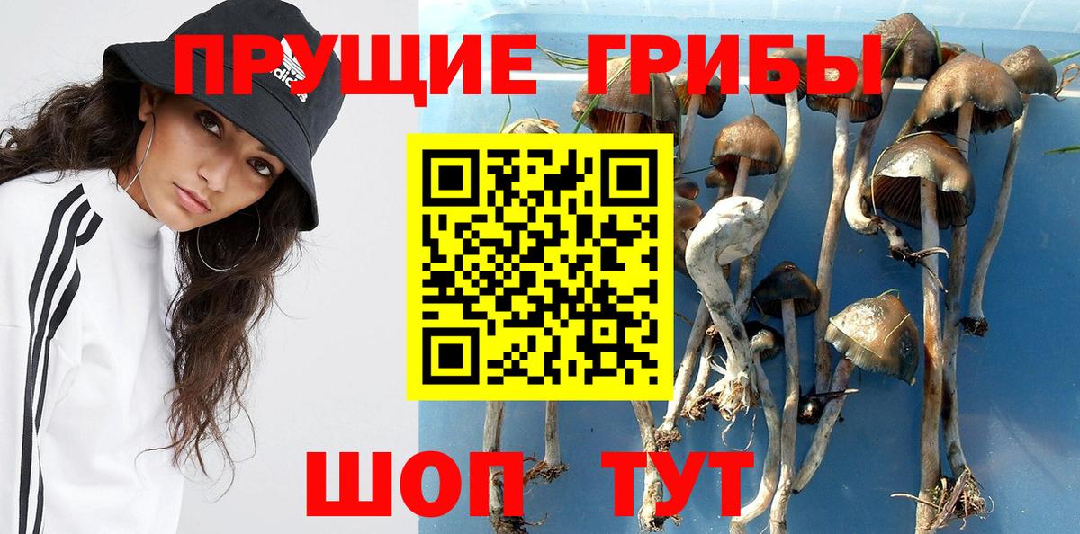 Псилоцибиновые грибы MAGIC MUSHROOMS Дагестанские Огни