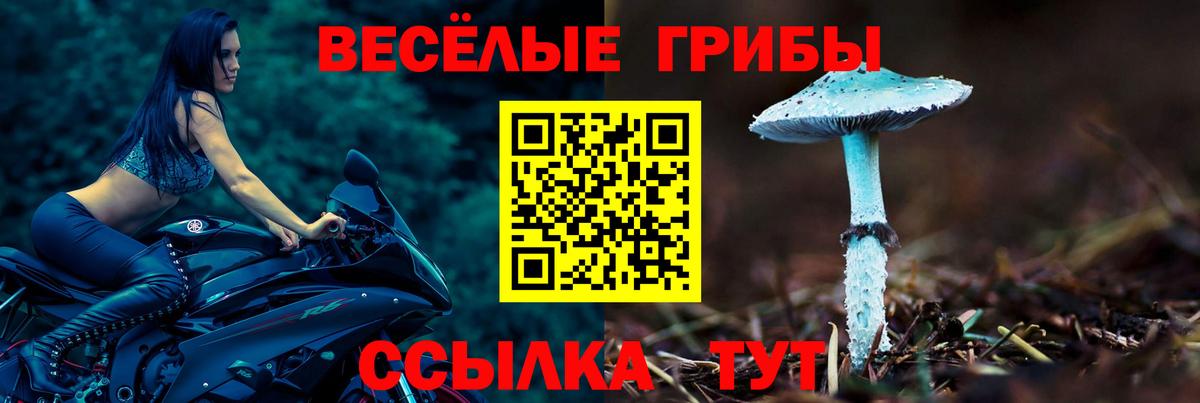 Дагестанские Огни  Галлюциногенные грибы GOLDEN TEACHER  Вход с VPN 